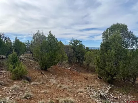 2543 Wrangler Way, Durango, CO 81303 photo 8