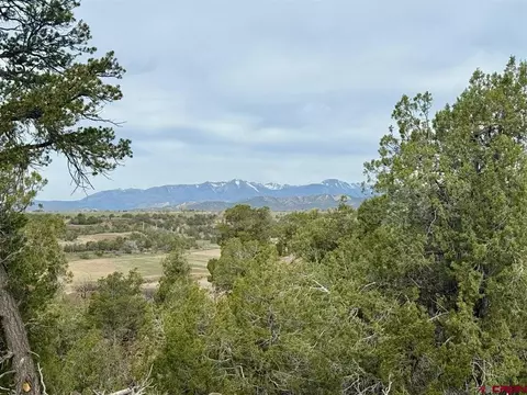 2543 Wrangler Way, Durango, CO 81303 photo 3