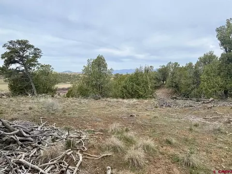 2543 Wrangler Way, Durango, CO 81303 photo 19