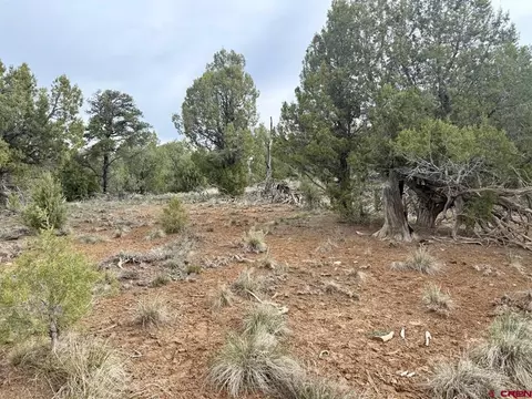2543 Wrangler Way, Durango, CO 81303 photo 18