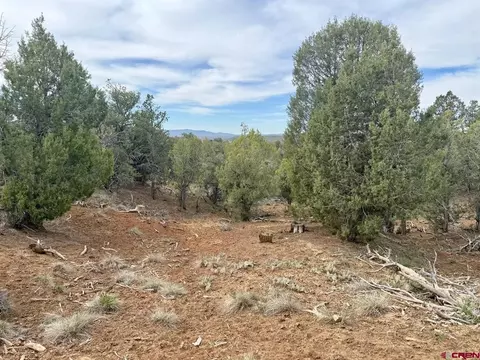 2543 Wrangler Way, Durango, CO 81303 photo 9
