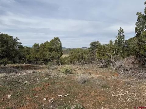 2543 Wrangler Way, Durango, CO 81303 photo 26