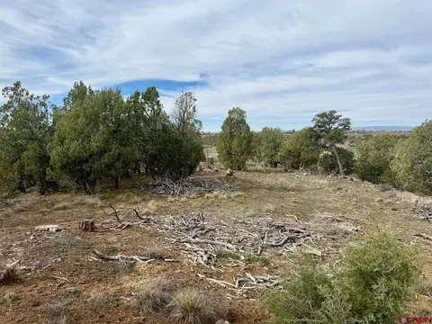 2543 Wrangler Way, Durango, CO 81303 photo 13