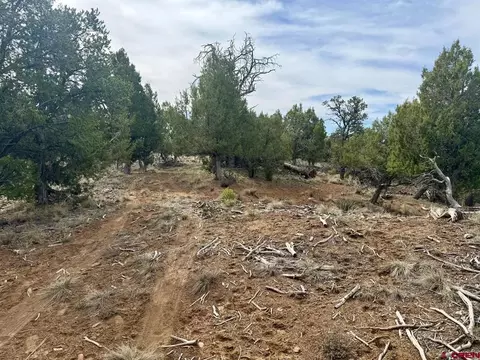 2543 Wrangler Way, Durango, CO 81303 photo 24