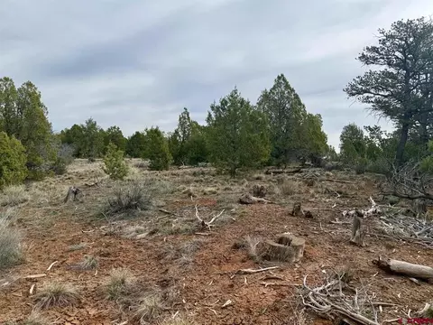 2543 Wrangler Way, Durango, CO 81303 photo 21