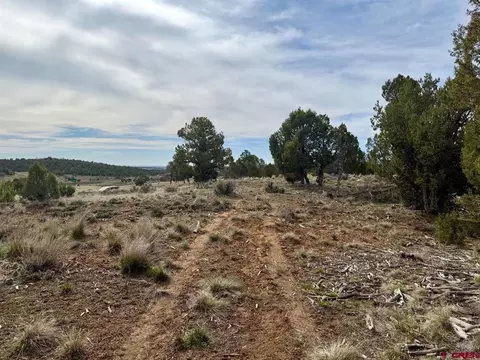 2543 Wrangler Way, Durango, CO 81303 photo 25