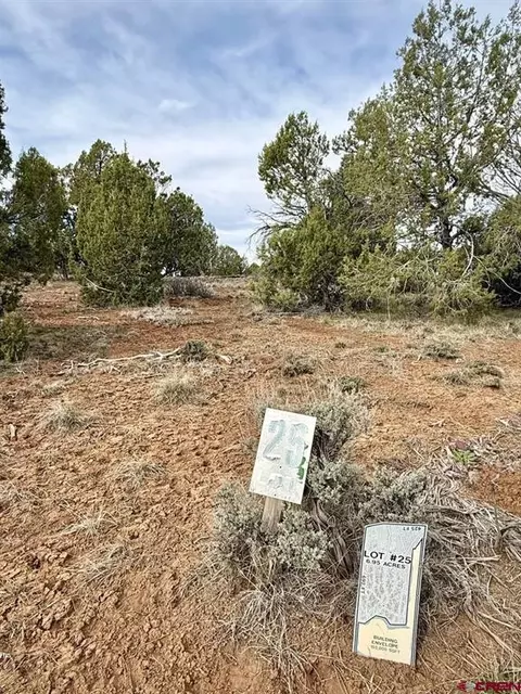2543 Wrangler Way, Durango, CO 81303 photo 5