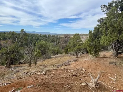 2543 Wrangler Way, Durango, CO 81303 photo 22