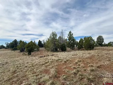 2543 Wrangler Way, Durango, CO 81303 photo 11