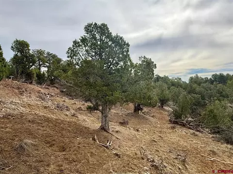 2543 Wrangler Way, Durango, CO 81303 photo 20