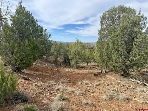 2543 Wrangler Way, Durango, CO 81303 photo 23