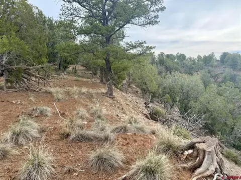 2543 Wrangler Way, Durango, CO 81303 photo 17