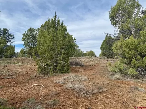 2543 Wrangler Way, Durango, CO 81303 photo 6