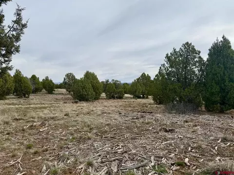2543 Wrangler Way, Durango, CO 81303 photo 10