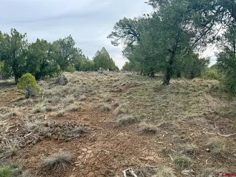 2543 Wrangler Way, Durango, CO 81303 photo 14