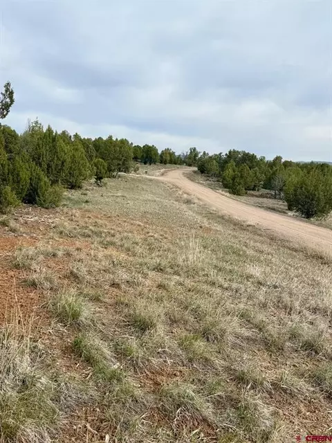 2543 Wrangler Way, Durango, CO 81303 photo 4