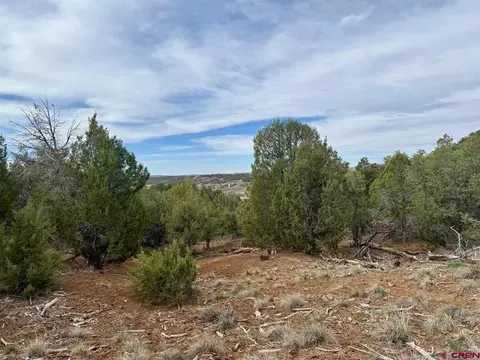 2543 Wrangler Way, Durango, CO 81303 photo 7