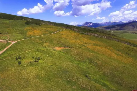 901 Red Mountain Rd, Almont, CO 81210