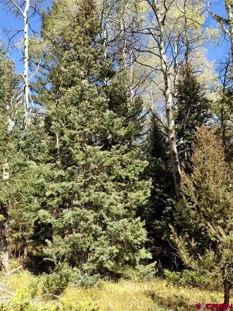 200 Crest Dr, Cimarron, CO 81220 photo 2