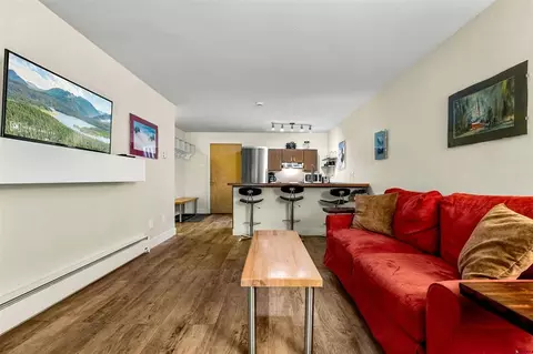 Living - 455 Sheol St #209, Durango, CO 81301 photo 3 of 3