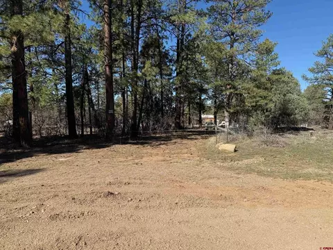143 Hakala Ct, Pagosa Springs, CO 81147