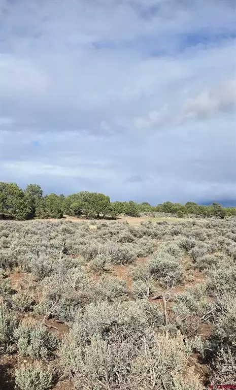70356170 Parcel, Fort Garland, CO 81123