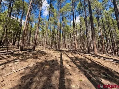 249 Timber Dr, Bayfield, CO 81122