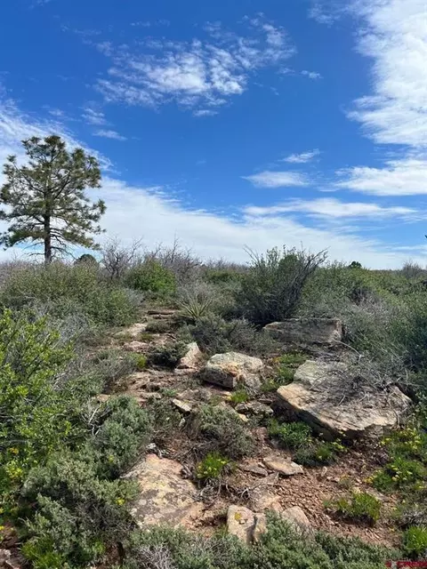 lot30 County Road C-3, Dove Creek, CO 81324