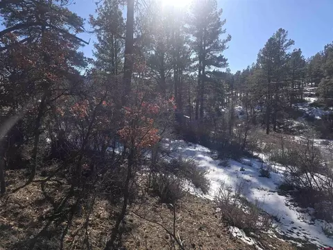 492 Circle Dr, Pagosa Springs, CO 81147
