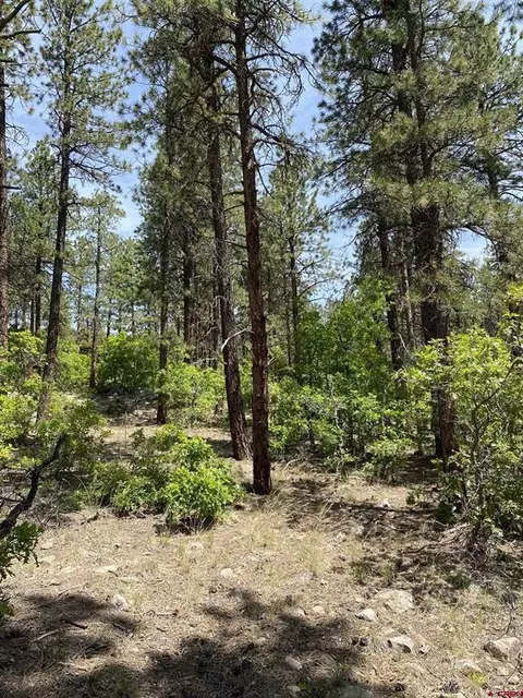 163 Boulder View Dr, Durango, CO 81301 photo 5