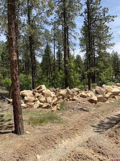 163 Boulder View Dr, Durango, CO 81301 photo 4