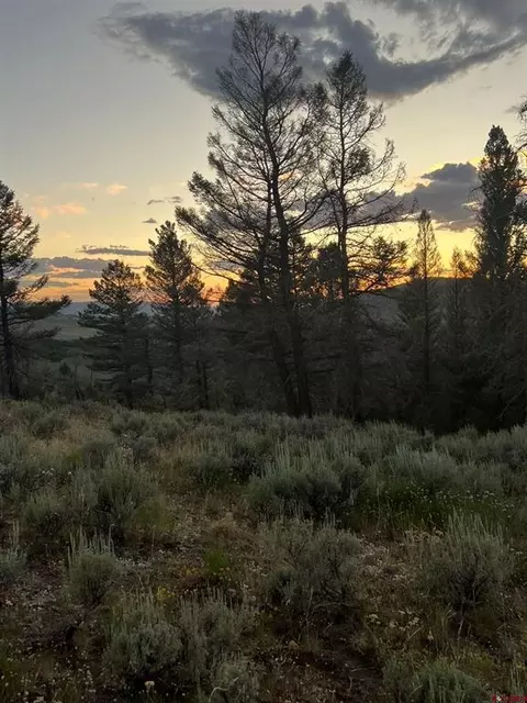 721 Crest Dr, Cimarron, CO 81220 photo 4