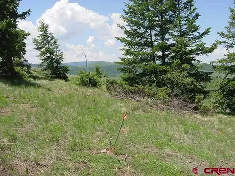 721 Crest Dr, Cimarron, CO 81220 photo 3