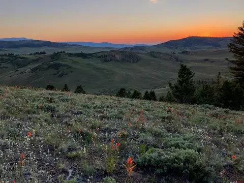 721 Crest Dr, Cimarron, CO 81220