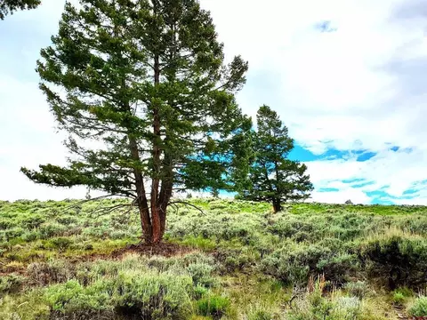 231 Schofield Trl, Powderhorn, CO 81243