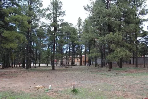 207 Bastille Dr, Pagosa Springs, CO 81147