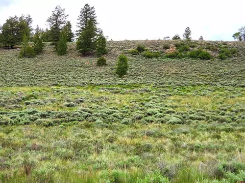 273 Schofield Trl, Powderhorn, CO 81243