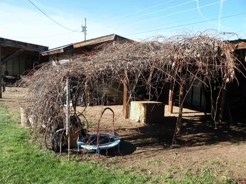 Exterior - 810 Grape St, Nucla, CO 81424 photo 5 of 7