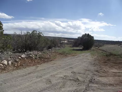 15842 Heavens View Rd, Cedaredge, CO 81416 photo 17