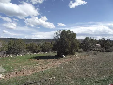 15842 Heavens View Rd, Cedaredge, CO 81416 photo 6