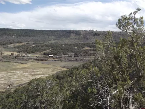 15842 Heavens View Rd, Cedaredge, CO 81416 photo 27