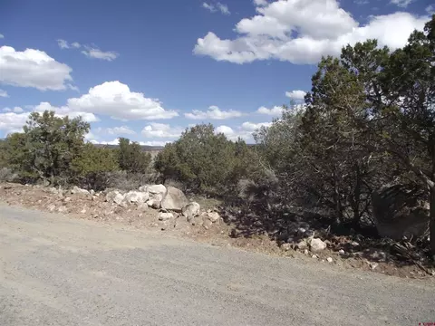 15842 Heavens View Rd, Cedaredge, CO 81416 photo 15