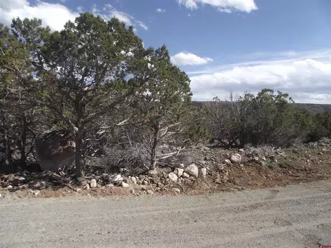 15842 Heavens View Rd, Cedaredge, CO 81416 photo 16