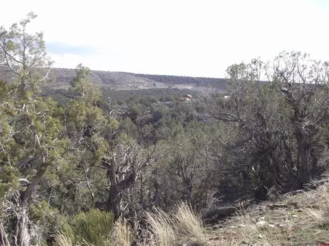 15842 Heavens View Rd, Cedaredge, CO 81416 photo 28