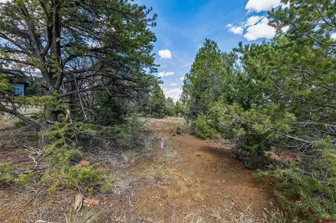 7 Salt Brush St, Durango, CO 81301 photo 11