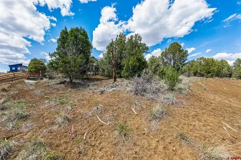 7 Salt Brush St, Durango, CO 81301 photo 13