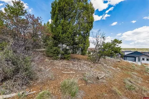 7 Salt Brush St, Durango, CO 81301 photo 10