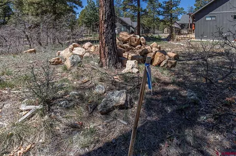 97 Canyon Pnes, Durango, CO 81301 photo 5