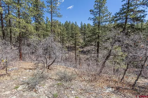 97 Canyon Pnes, Durango, CO 81301 photo 8