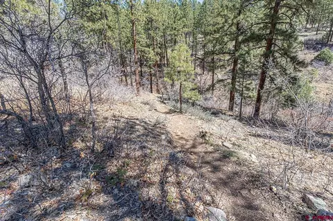 97 Canyon Pnes, Durango, CO 81301 photo 7